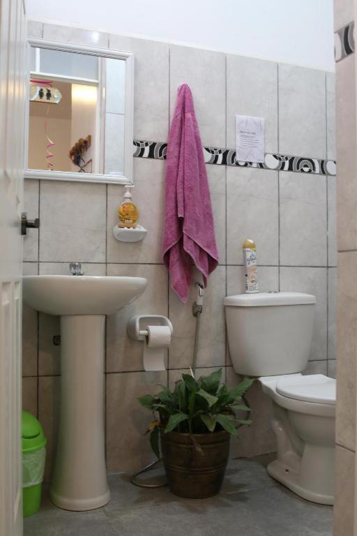 Nanasqa Hostel En Nasca / Νάζκα Εξωτερικό φωτογραφία